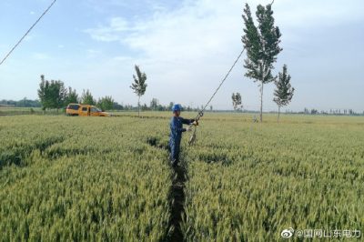 陵城供電公司開(kāi)展更換拉線(xiàn)工作