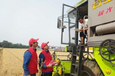 河北電力簡(jiǎn)訊：芒種忙忙割，農(nóng)家樂啟鐮