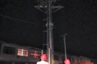 10kⅤ線路柱上開關、變壓器樁頭、高壓線路導線搭頭處等進行紅外測溫