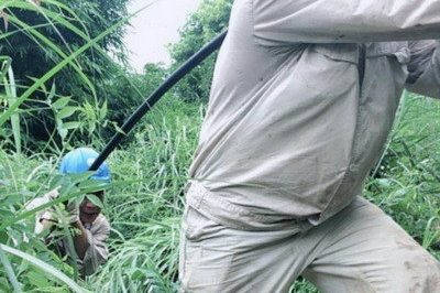 南川區(qū)供電公司緊急搶修被雷擊斷落在路上的10千伏鋒秧線8-10號桿A、C相