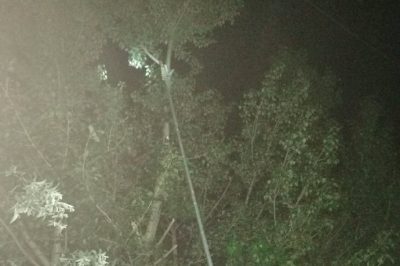 神木市供電公司開(kāi)展線路巡視搶修停電線路