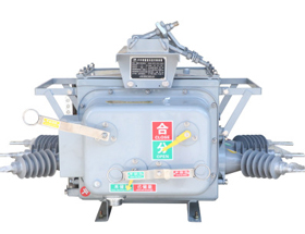 10KV手動(dòng)柱上分界真空開關(guān)