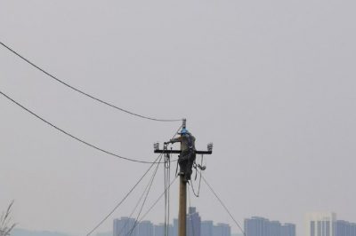 162秦晉線(xiàn)留芳支線(xiàn)05-15桿線(xiàn)路進(jìn)行了絕緣化改造