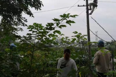 報(bào)修人員乘上小舟登上電桿搭接發(fā)生故障的藕塘內(nèi)線路