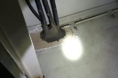 小動物，變電站非請勿來