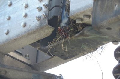 輸變專業(yè)合作，火攻刀閘鳥窩