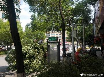 #向配網(wǎng)開(kāi)戰(zhàn)#風(fēng)景這邊獨(dú)好，砍青掃障