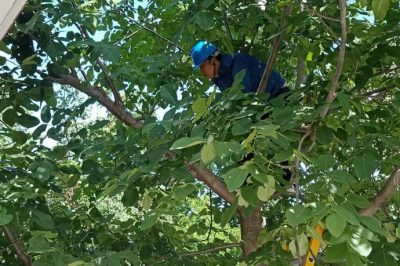 西安：清障消缺?！叭摹卑踩秒? title=