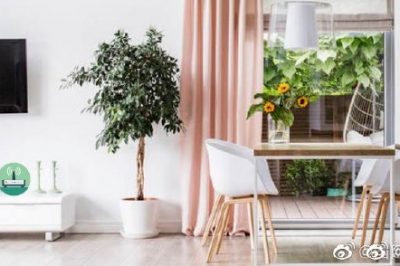 你家這位“偷電大盜”，每個(gè)月偷10度電呢