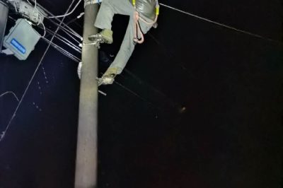 狂風暴雨面前爭分奪秒地恢復供電