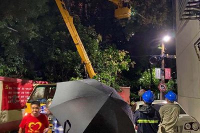 無懼大風(fēng)，連夜搶修供電線路