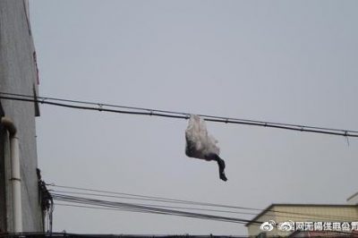 你的隨手一“拋”，可能導(dǎo)致跳閘停電！