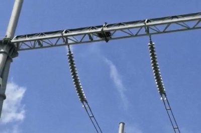 變電設(shè)備上有鳥巢，咋整？