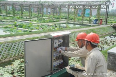 國網(wǎng)南京市江北新區(qū)供電公司安裝變壓器、環(huán)網(wǎng)柜、配電箱等配電設(shè)備