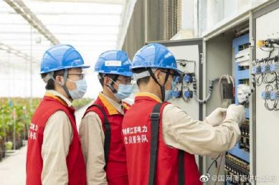 為大棚電力線路、電氣化設(shè)備進(jìn)行縝密排查和整改消缺