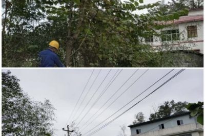 對10千伏禾臘線消水坨臺區(qū)、石家寨臺區(qū)進行巡視