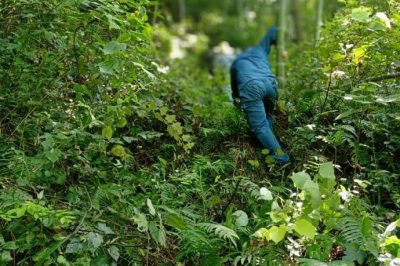 為湍江變一石沖口變110千伏線路工程找準位置