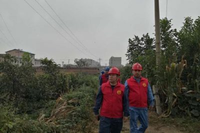 對(duì)10千伏534清崗線開展專業(yè)特巡