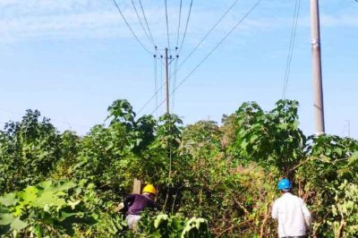 杜絕跳閘、服務(wù)民生打造“平安綠色通道”