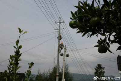 對更換線路10千伏王李線李子園支線4號至7號桿進行金具安裝、導(dǎo)線展放及搭火作業(yè)
