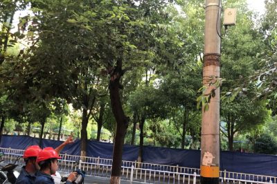 對城區(qū)114市區(qū)1線進行帶電檢測工作