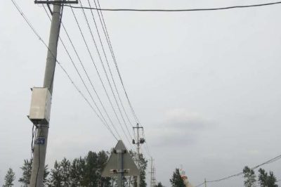 對(duì)位于稻田里的10千伏線路開(kāi)展特巡