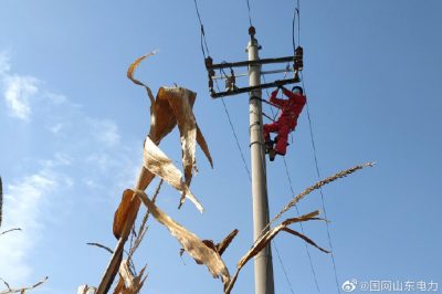 對10千伏春興線海防支線進(jìn)行清掃、檢修