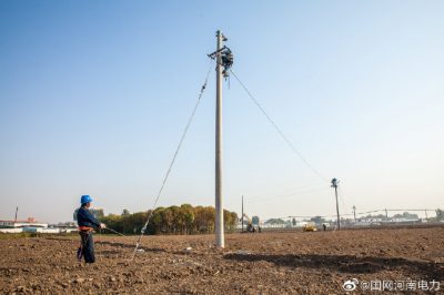 對10千伏姚占線進(jìn)行升級改造