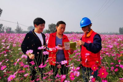 對玉山店村百畝格桑花所在線路進行全方位的巡視排查