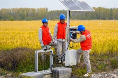 服務有機水稻農(nóng)場