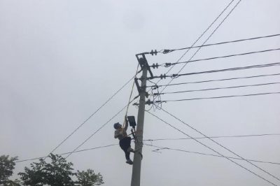 集中清理?xiàng)U塔上“空巢”