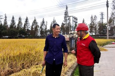 對涉農(nóng)電氣設(shè)備、線路進行特維特巡