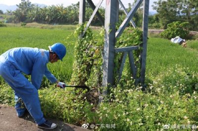 清除纏繞藤蔓，為桿塔“理發(fā)”