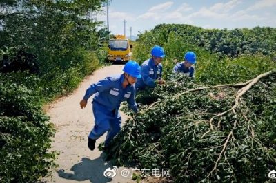 對轄區(qū)內配網(wǎng)線路進行特殊巡視