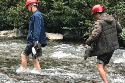 110千伏中沈線進行樹竹隱患排查巡視