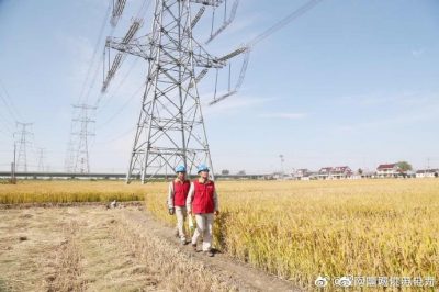 特巡“泰吳線”確保進(jìn)博會(huì)可靠供電