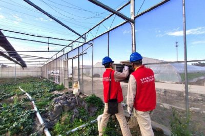 迎峰度冬早準(zhǔn)備??“黨員服務(wù)隊(duì)”走進(jìn)大棚種植戶