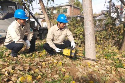 對轄區(qū)內(nèi)10KV線路通道內(nèi)樹木進行徹底清理