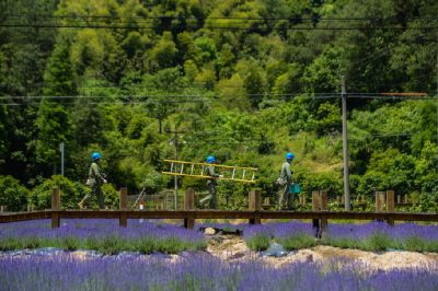 積極服務(wù)浙江“千萬工程”建設(shè)新時(shí)代美麗鄉(xiāng)村