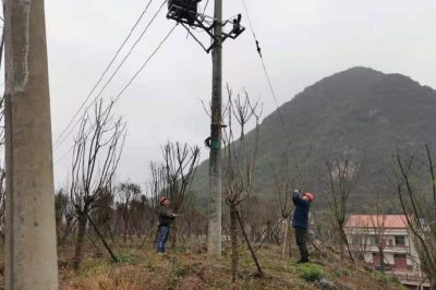 農(nóng)電檢修人員對(duì)小石線、高石線等10千伏線路進(jìn)行集中巡視測(cè)溫