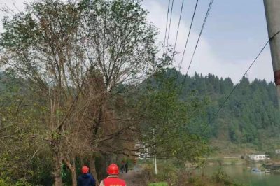 對10千伏杜民線和10千伏杜綿線進(jìn)行特巡