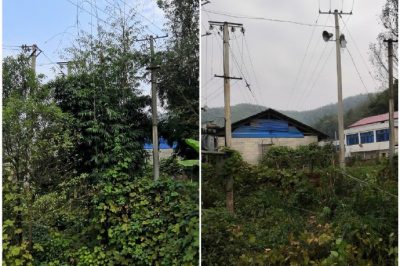 對(duì)所轄區(qū)域內(nèi)6條10千伏線路通道再次進(jìn)行巡視